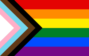 LGBTQ+ flag. Red, orange, yellow, green, blue and purple horizotonal stripes.  Black, brown, light blue, pink and white arrow shaped lines on the left side.